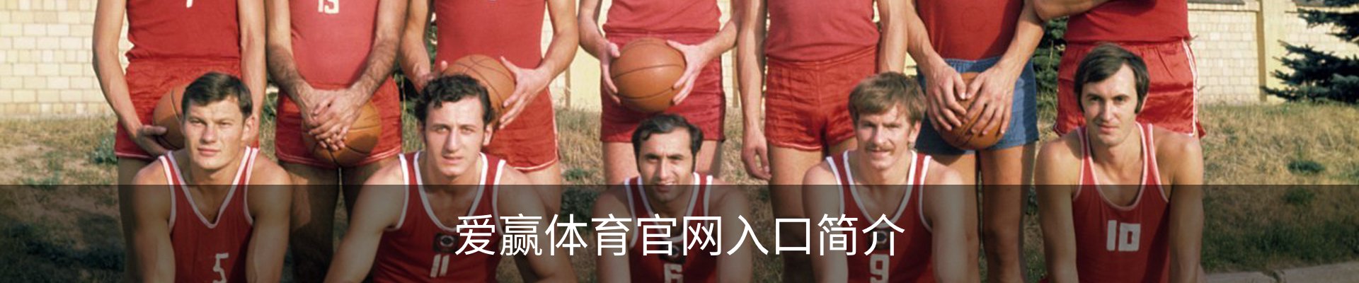 爱赢体育官网入口简介